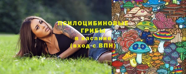 гидропоника Абдулино