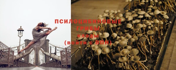 гидропоника Абдулино