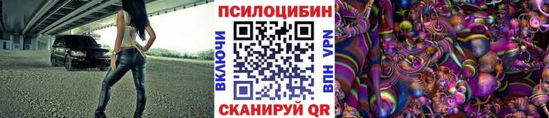 сколько стоит Саратов Галлюциногенные грибы мицелий